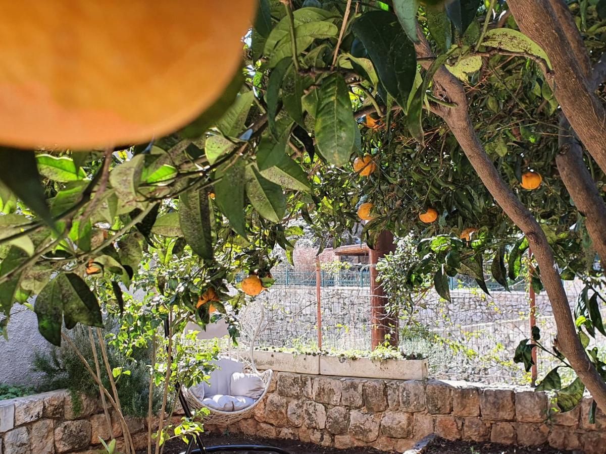 Barbara'S Garden Apartment ドゥブロブニク エクステリア 写真
